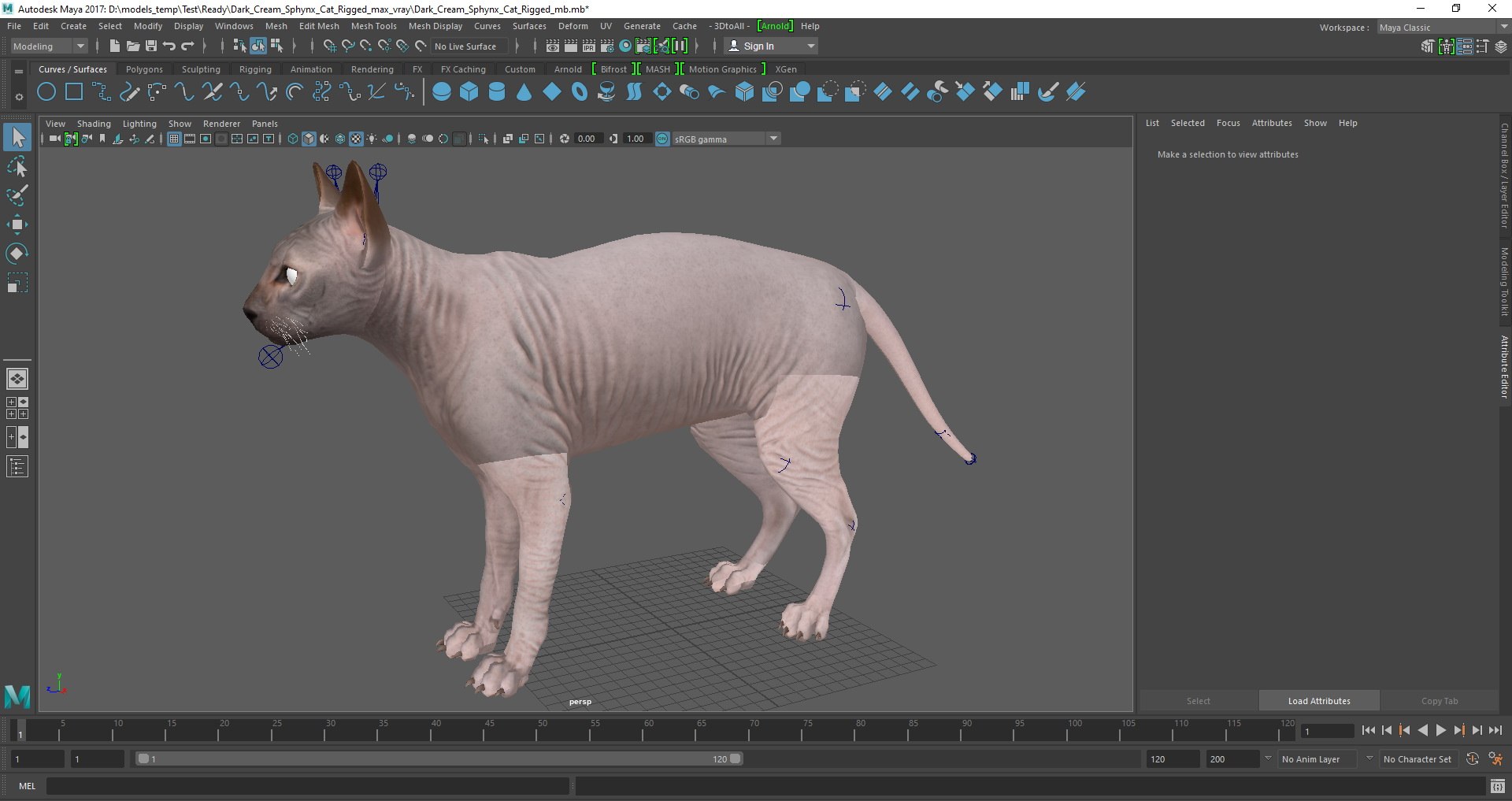 dark cream sphynx cat 3D model https://p.turbosquid.com/ts-thumb/nK/42DH3g/x7jab9Di/dark_cream_sphynx_cat_rigged_mb_01/jpg/1607703604/1920x1080/fit_q87/64536b162c0b0a0b882a614c0649dec49480dd69/dark_cream_sphynx_cat_rigged_mb_01.jpg