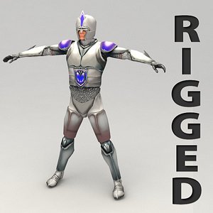 3d rigged fantasy hero model