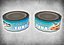 Canned Tuna