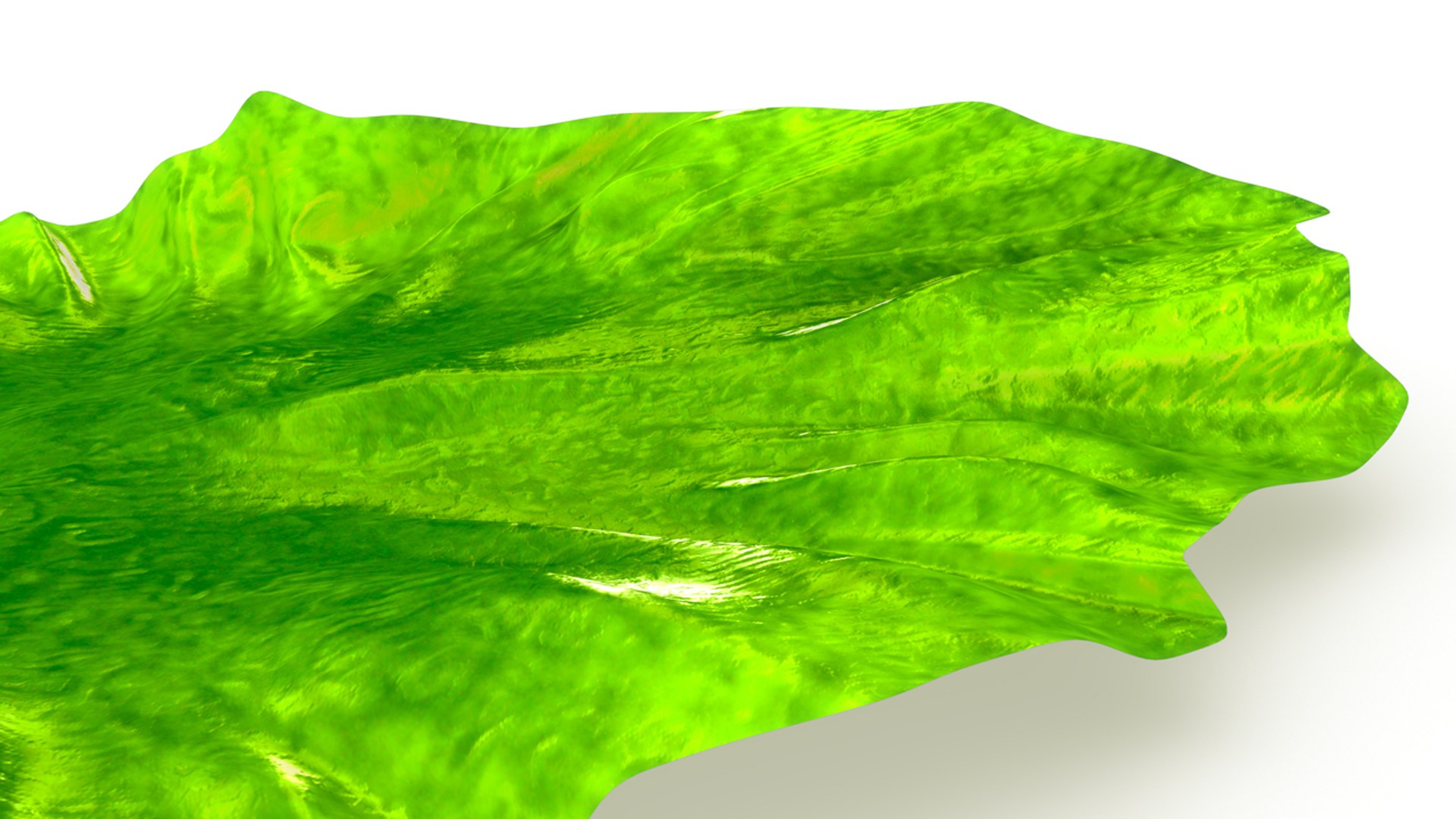 porphyra seaweed obj