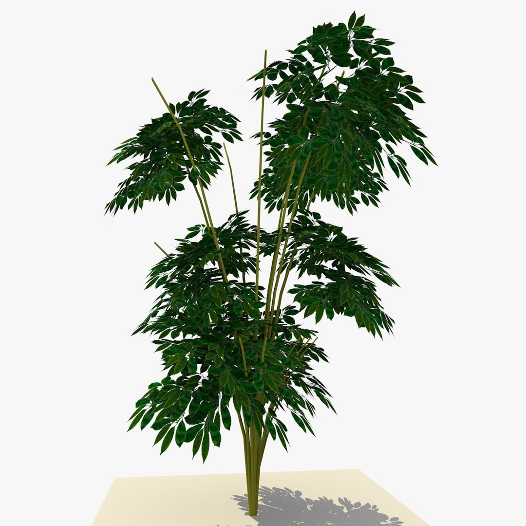 Plant Bush 3d Model