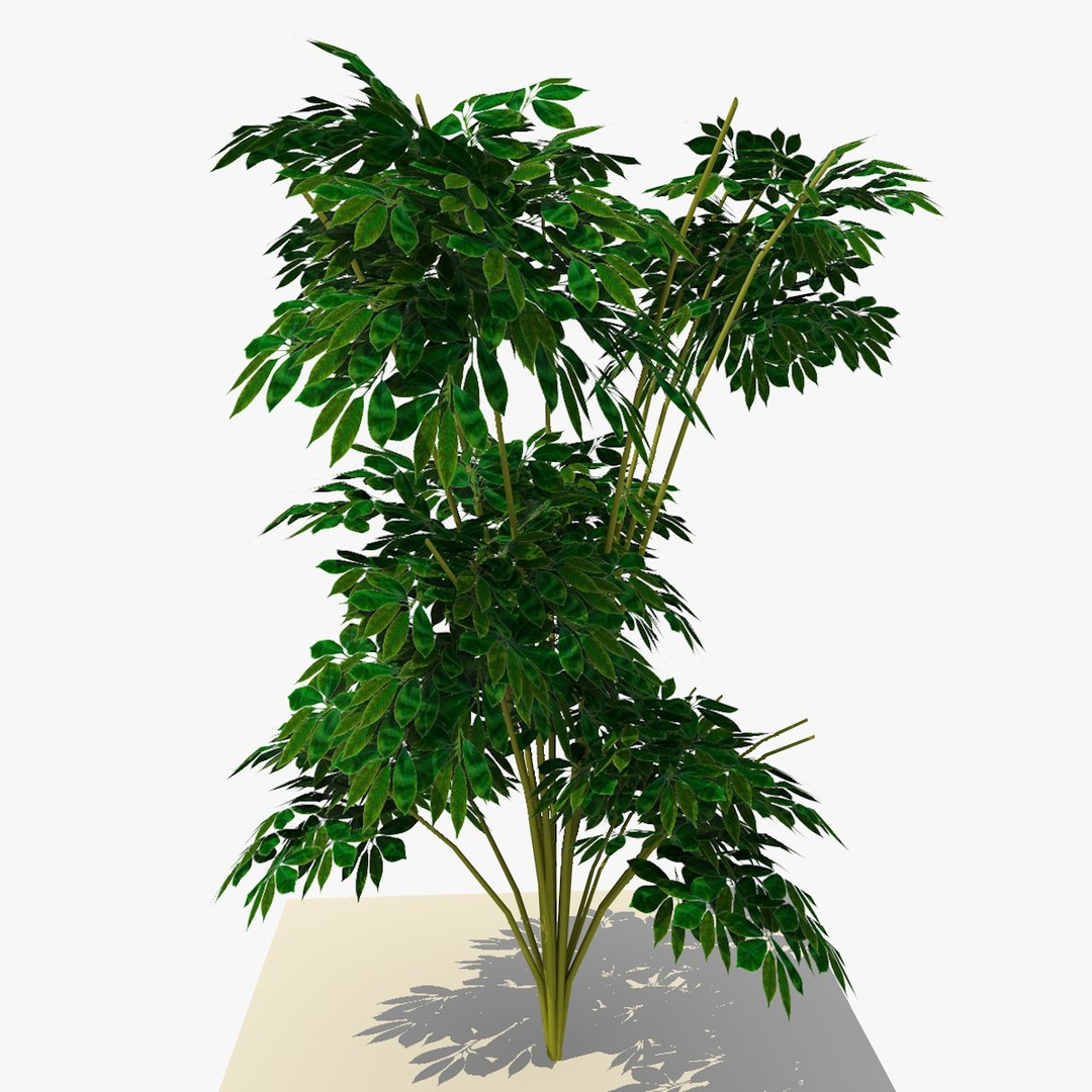 Plant Bush 3d Model