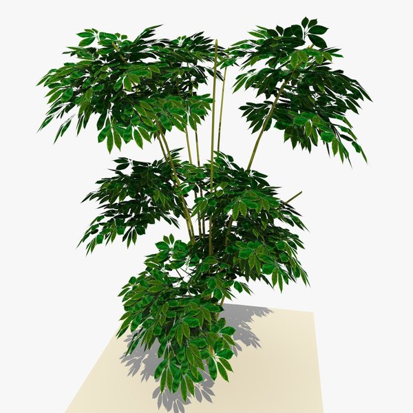 plant bush 3d model