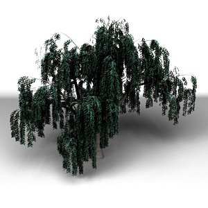 3d tree modo