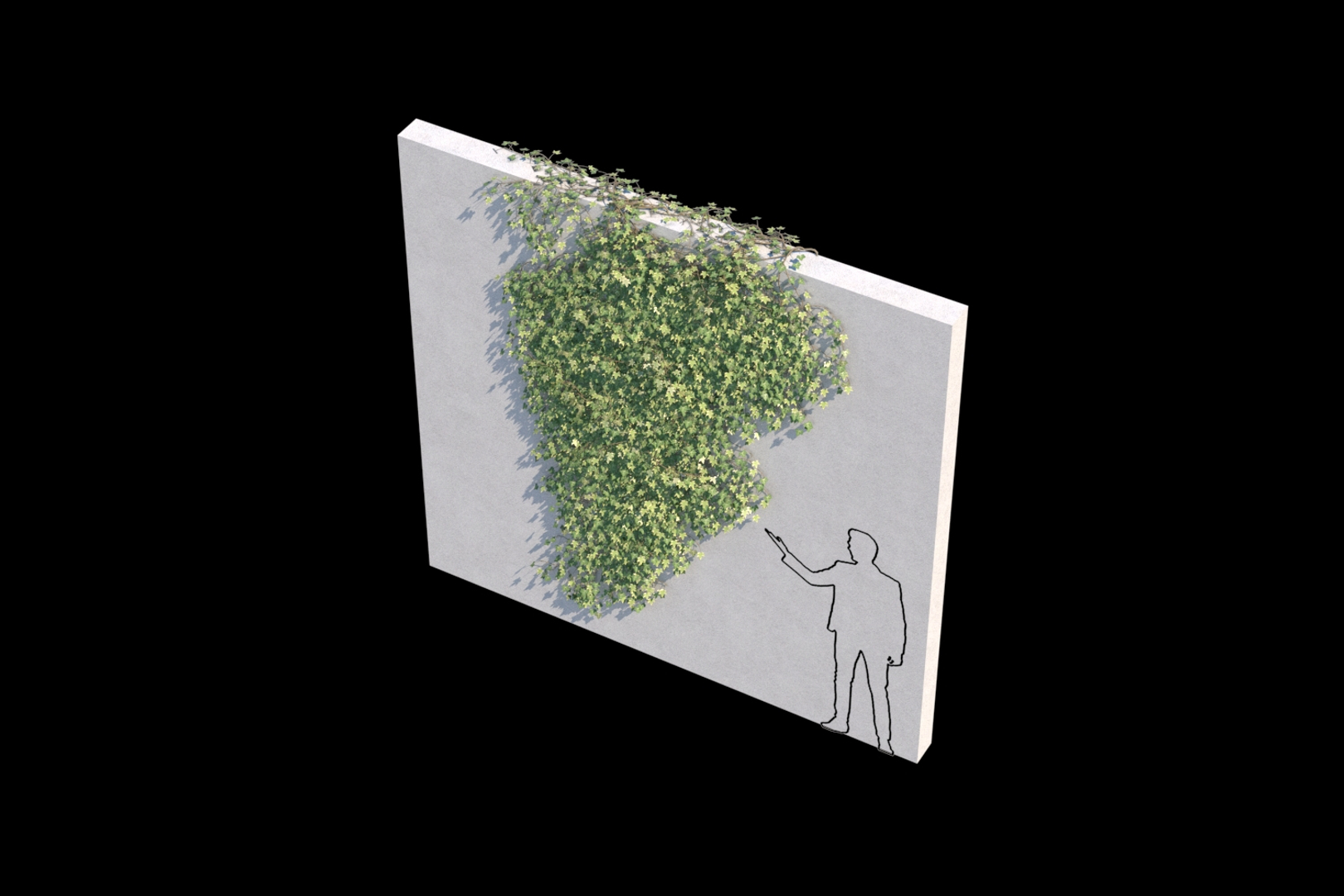 3D ivy - wall https://p.turbosquid.com/ts-thumb/nK/OhlMya/0JTR9I5W/ivyd_turntable/jpg/1558339966/1920x1080/turn_fit_q99/30dd3560d37a9d51472b17acea224542bbcdac3b/ivyd_turntable-1.jpg