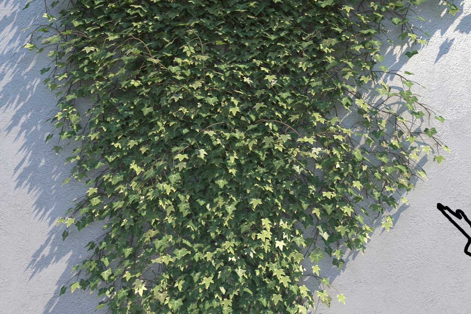 3D ivy - wall https://p.turbosquid.com/ts-thumb/nK/OhlMya/81J2SJqX/ivyvariationdcam002/jpg/1558339317/1920x1080/fit_q87/b79a4ecc760c0635e4f35d89ec69501ccc44fa2f/ivyvariationdcam002.jpg