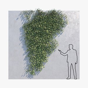 3D ivy - wall