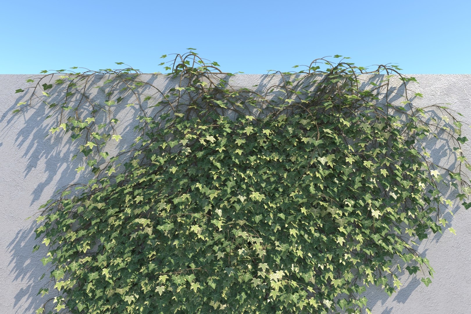 3D ivy - wall https://p.turbosquid.com/ts-thumb/nK/OhlMya/DT9fVJbU/ivyvariationdcam003/jpg/1558339317/1920x1080/fit_q87/0796dd48eb8e97b753d0090007b62f3bbed57137/ivyvariationdcam003.jpg