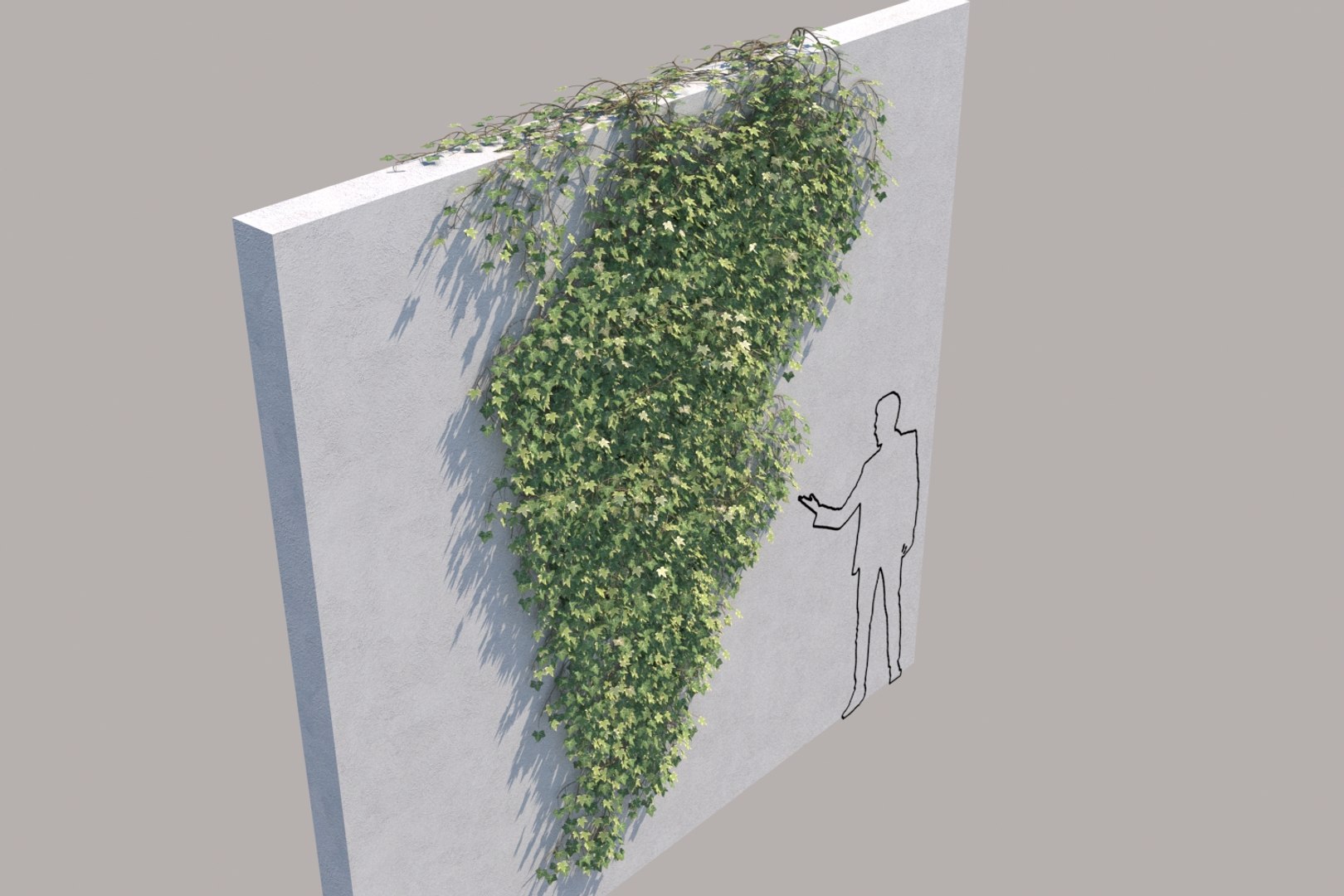 3D ivy - wall https://p.turbosquid.com/ts-thumb/nK/OhlMya/SkMZBvB0/ivyvariationdcam005/jpg/1558339317/1920x1080/fit_q87/54264b0073148eedc2551c6f2be4adc45eddbc87/ivyvariationdcam005.jpg