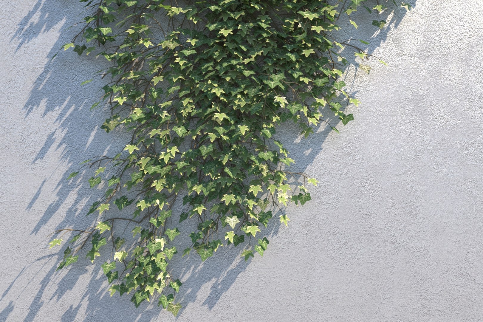 3D ivy - wall https://p.turbosquid.com/ts-thumb/nK/OhlMya/xHaEKybL/ivyvariationdcam001/jpg/1558339317/1920x1080/fit_q87/7b8570a832020e416ffc39df0f22342c97e497f8/ivyvariationdcam001.jpg