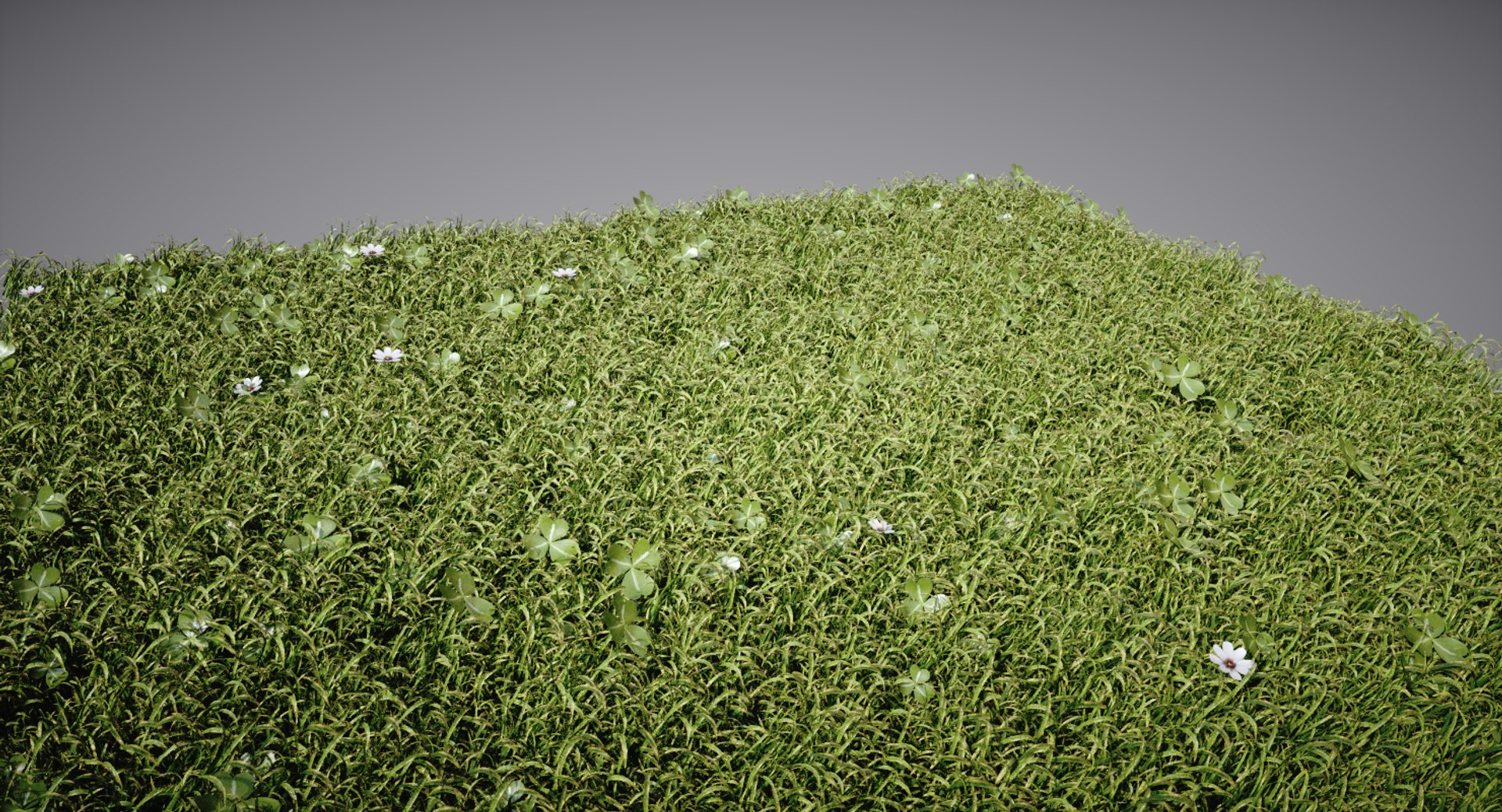 grass lightwave 2018 model https://p.turbosquid.com/ts-thumb/nK/WwlEMM/5qGXePUQ/4/png/1522828593/1920x1080/fit_q87/5672208fbab200343b5c5d99b46f376d91e3009a/4.jpg