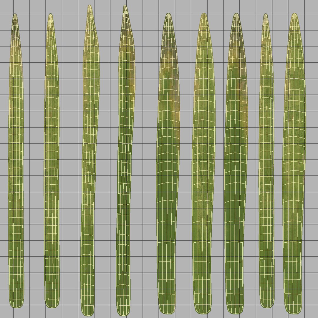 grass lightwave 2018 model https://p.turbosquid.com/ts-thumb/nK/WwlEMM/SoCwcVM5/grassuv/png/1522828661/1920x1080/fit_q87/7b648d8617b4e4dd3eee27ae6536e83229a4d9ee/grassuv.jpg