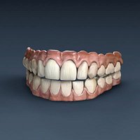 teeth_gums_3ds