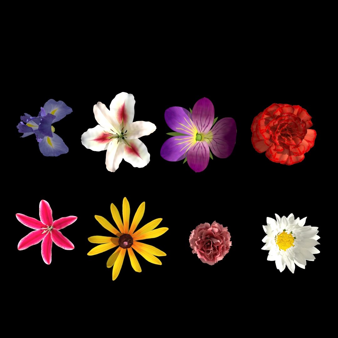 max flowers animation spline