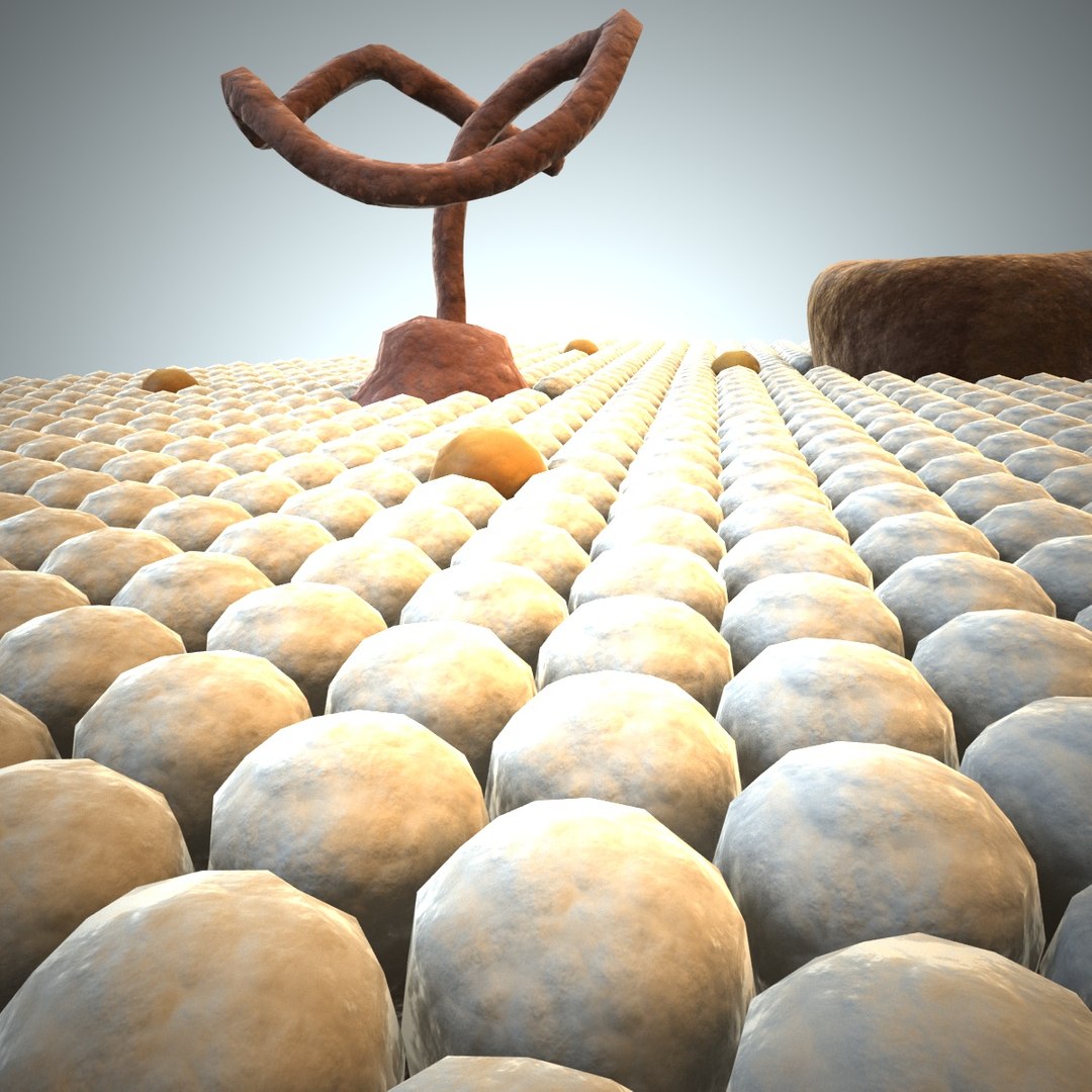 Cell Membrane 3d Model