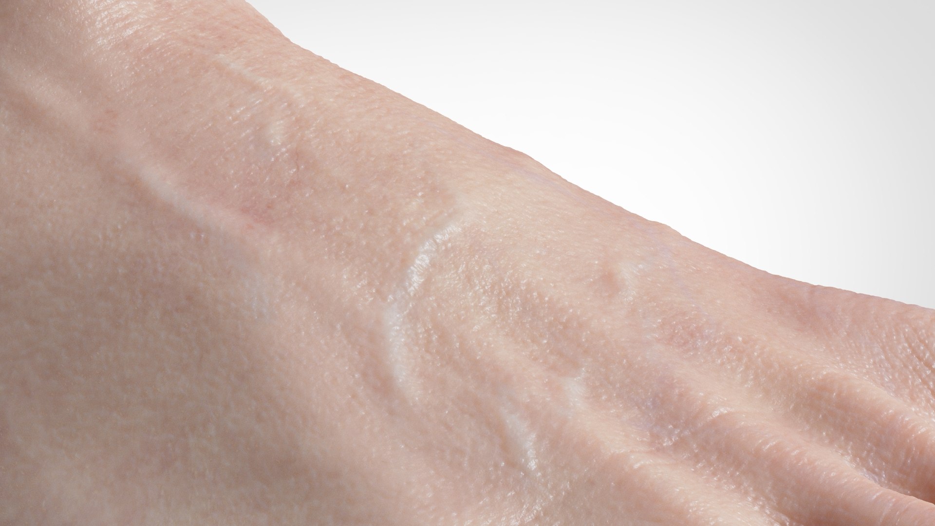 feet realistic model https://p.turbosquid.com/ts-thumb/nK/kLMFcT/1Y/8/jpg/1613645449/1920x1080/fit_q87/a1027f860fabdd96270c1d30e643969b975d6eb6/8.jpg
