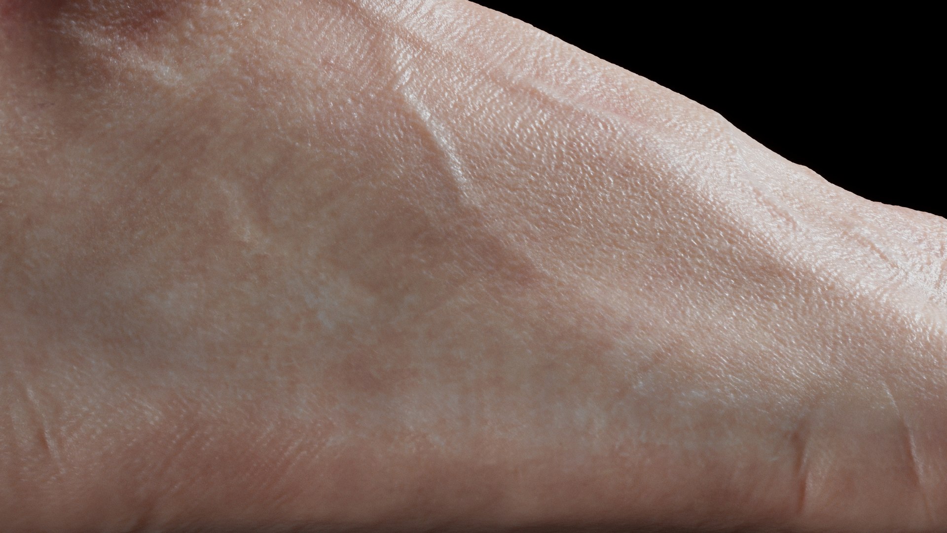 feet realistic model https://p.turbosquid.com/ts-thumb/nK/kLMFcT/Ub/16/jpg/1613646002/1920x1080/fit_q87/d6eb9458efc1cb91019ff82a72ee1c3b883c3039/16.jpg