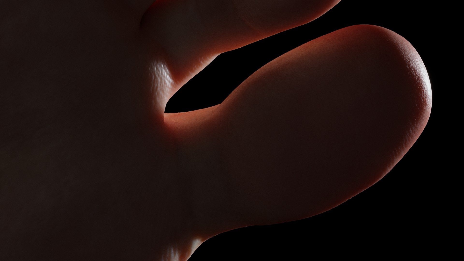 feet realistic model https://p.turbosquid.com/ts-thumb/nK/kLMFcT/Vm/15/jpg/1613645687/1920x1080/fit_q87/0e4d099da4cb0cfeb0d690440d0f920908544f13/15.jpg
