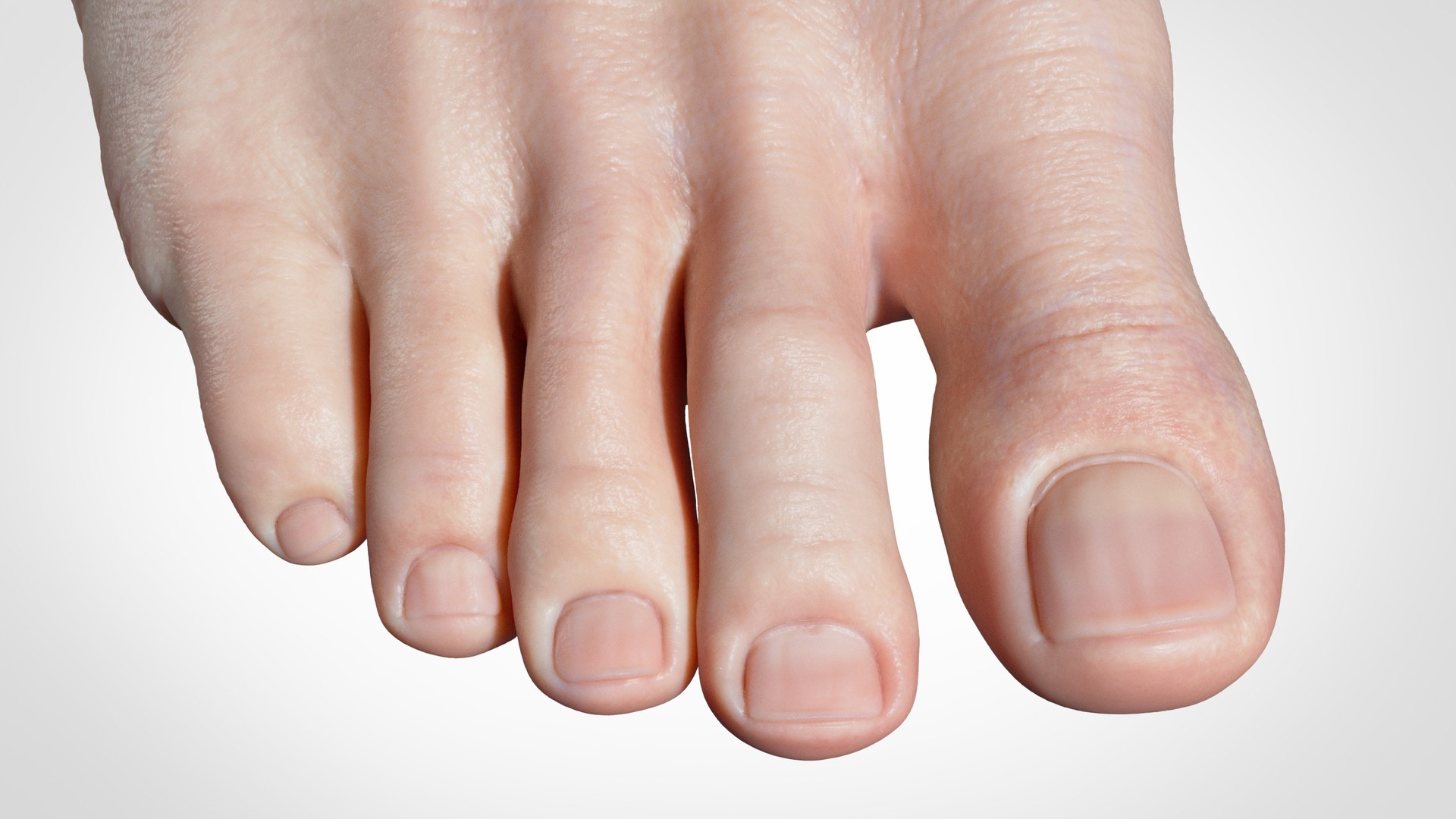 feet realistic model https://p.turbosquid.com/ts-thumb/nK/kLMFcT/vP/3/jpg/1613645381/1920x1080/fit_q87/609ba56e0659ff018f8e97f76fb0744bb099b686/3.jpg