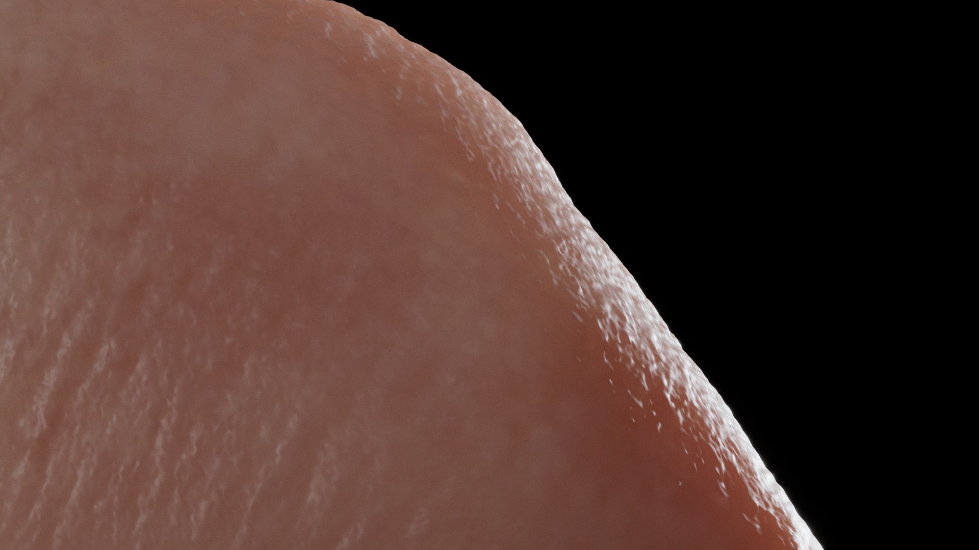 feet realistic model https://p.turbosquid.com/ts-thumb/nK/kLMFcT/wZ/19/jpg/1613654355/1920x1080/fit_q87/7b2b0cbd58b1e267d0965243b0e1c8411569a4ab/19.jpg