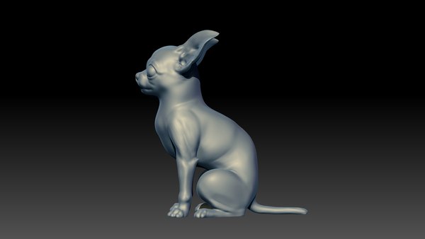 chihuahua dog 3D model