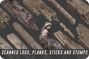 Scanned Logs Planks Sticks and Stumps