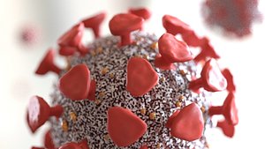 3D model covid-19 animate