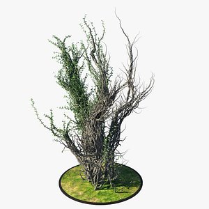3ds max plant tree vegetation