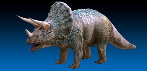 jurassic triceratops dinosaur 3D model