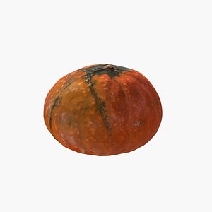 Decorative pumpkin medium-size 3D