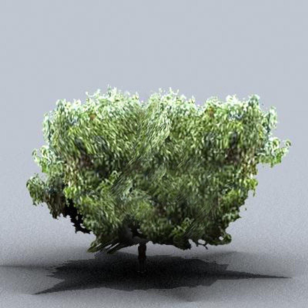 3d fruit trees model https://p.turbosquid.com/ts-thumb/nL/NKWaYy/Gq6Q4jYo/trfruit22/jpg/1105619870/1920x1080/fit_q87/3d935ad3b7517125cae2d8d9cc2531f910041765/trfruit22.jpg