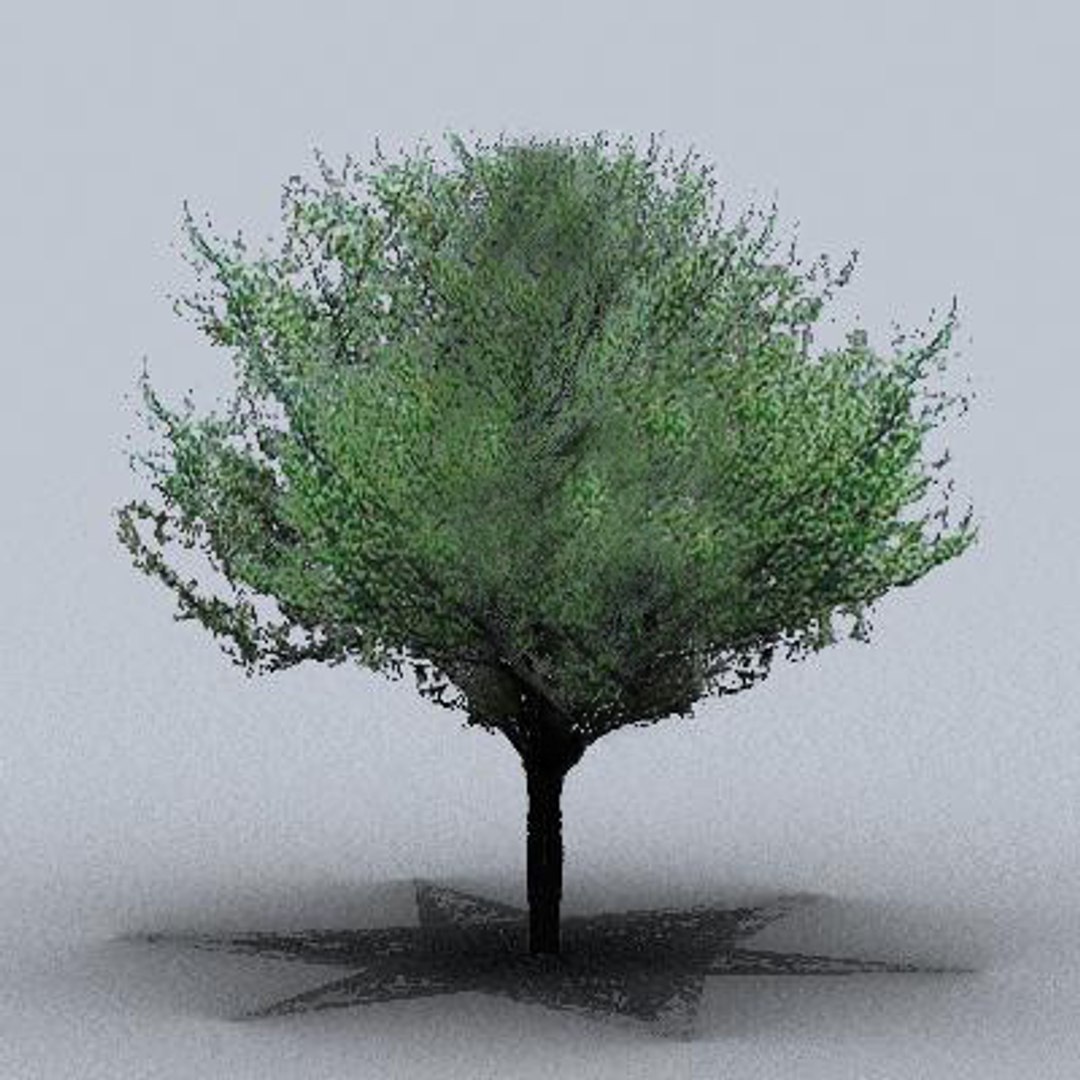 3d fruit trees model https://p.turbosquid.com/ts-thumb/nL/NKWaYy/HXQi2A1v/trfruit25/jpg/1105619881/1920x1080/fit_q87/5ac371f2d2dbf4da23c841c75f2c1f6f806449df/trfruit25.jpg