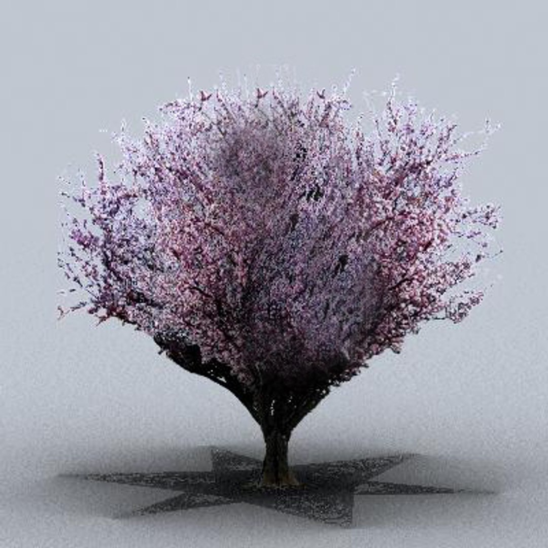 3d fruit trees model https://p.turbosquid.com/ts-thumb/nL/NKWaYy/Tx2hCKOQ/trfruit24/jpg/1105619878/1920x1080/fit_q87/6beccd9bf252d5f2c5adba742b7fd127081f5c0f/trfruit24.jpg