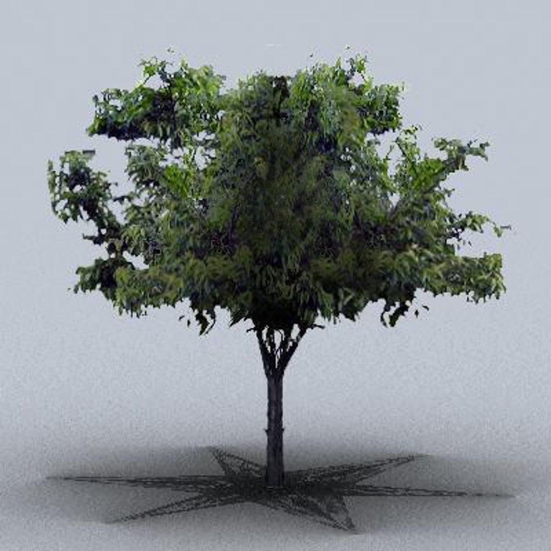 3d fruit trees model https://p.turbosquid.com/ts-thumb/nL/NKWaYy/V1hMjr76/trfruit27/jpg/1105621286/1920x1080/fit_q87/f026cd403dc4cf5e20c604075bb8f32d0904dff5/trfruit27.jpg