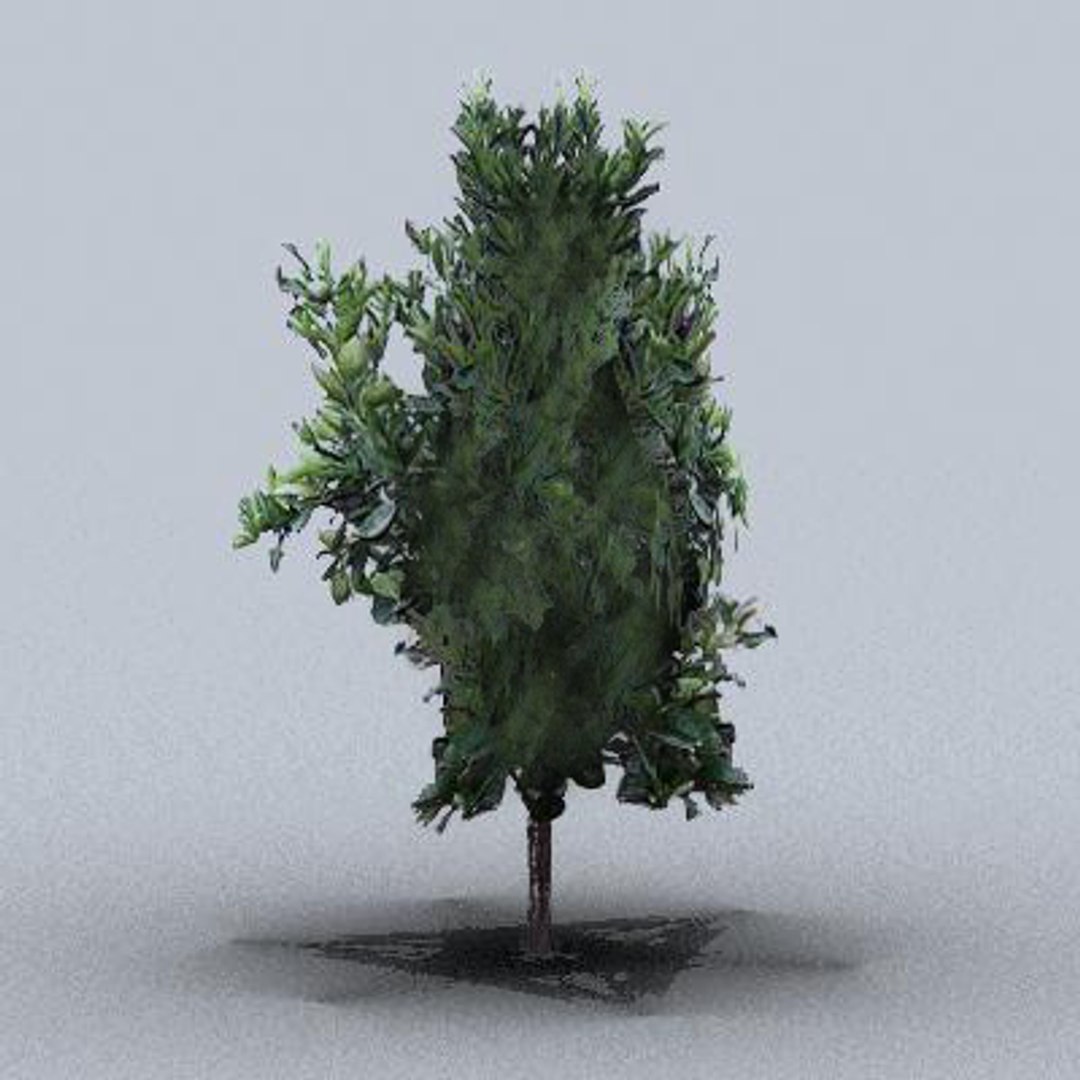 3d fruit trees model https://p.turbosquid.com/ts-thumb/nL/NKWaYy/bZvmGlG6/trfruit20/jpg/1105619866/1920x1080/fit_q87/83ab0f2e20541ecc6214b974164914987affa03a/trfruit20.jpg