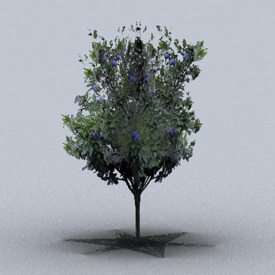 3d fruit trees model https://p.turbosquid.com/ts-thumb/nL/NKWaYy/lxDfYUeA/trfruit26/jpg/1105621284/1920x1080/fit_q87/726f94720a86bc7699120155ebcc51dfc0823baa/trfruit26.jpg