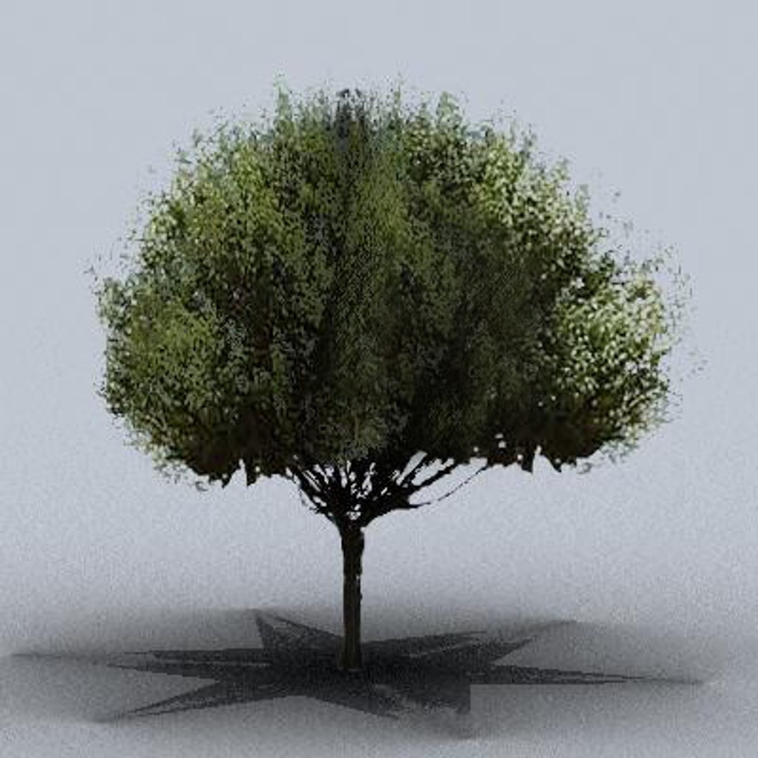 3d fruit trees model https://p.turbosquid.com/ts-thumb/nL/NKWaYy/p1IN7krs/trfruit23/jpg/1105619873/1920x1080/fit_q87/4d7931d92853f262d333f6cc95aba807d642c731/trfruit23.jpg