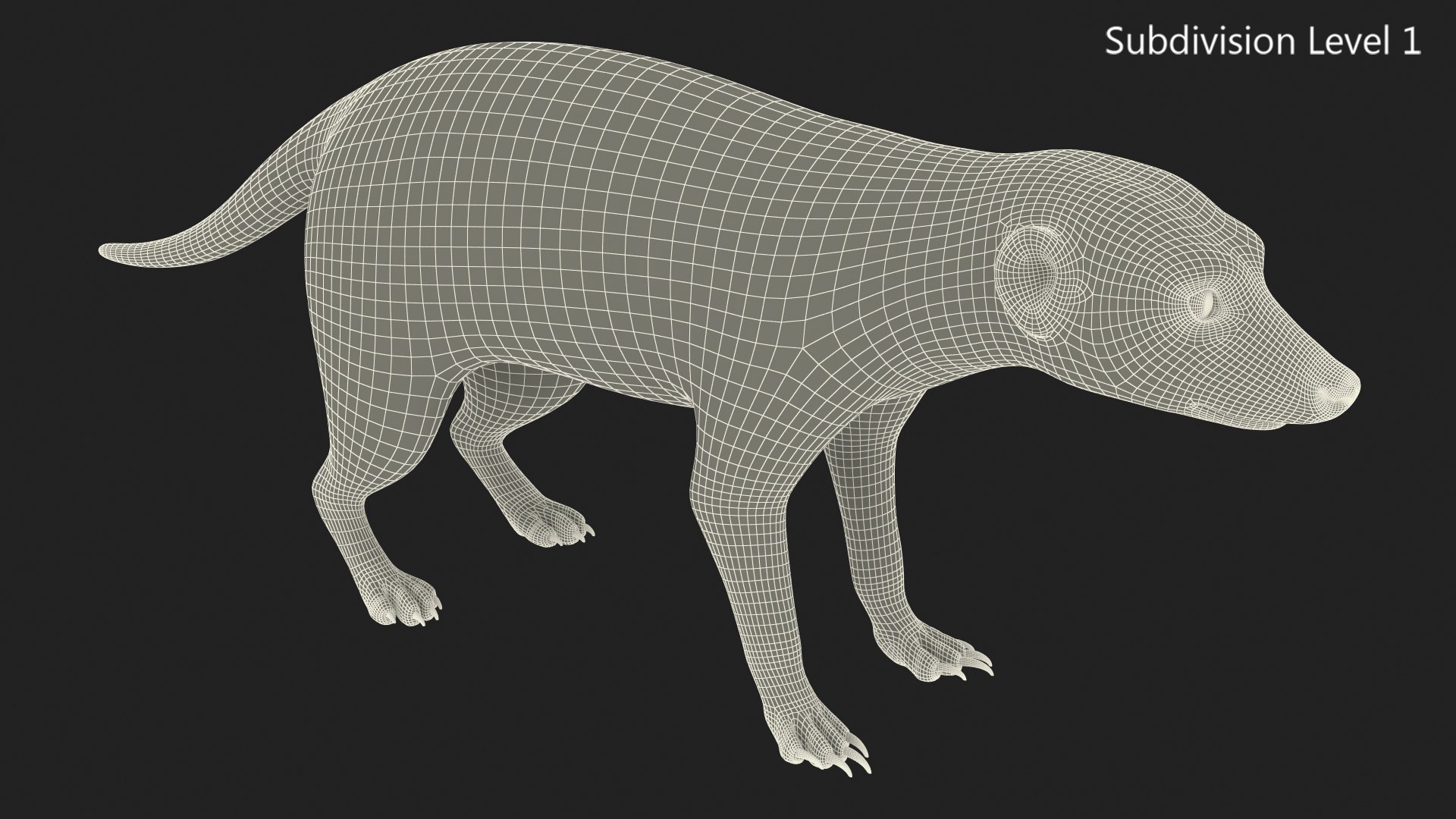 Meerkat Neutral Pose model https://p.turbosquid.com/ts-thumb/nL/QAlS0J/5L/meerkatneutralpose3dsmodel018/jpg/1656073744/1920x1080/fit_q87/be237cf5f3d21fb5130049e177131115999f8c5c/meerkatneutralpose3dsmodel018.jpg