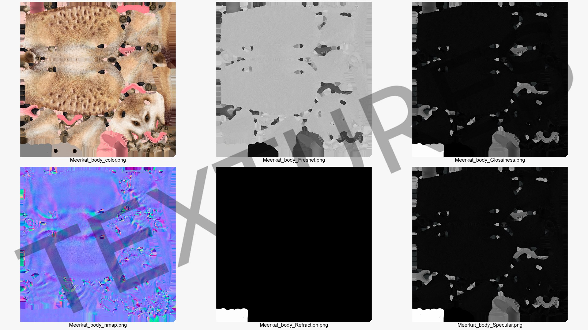 Meerkat Neutral Pose model https://p.turbosquid.com/ts-thumb/nL/QAlS0J/dE/meerkatneutralpose3dsmodel021/jpg/1656073756/1920x1080/fit_q87/542a07f00c67ab297463d66cde926cfc67532d13/meerkatneutralpose3dsmodel021.jpg