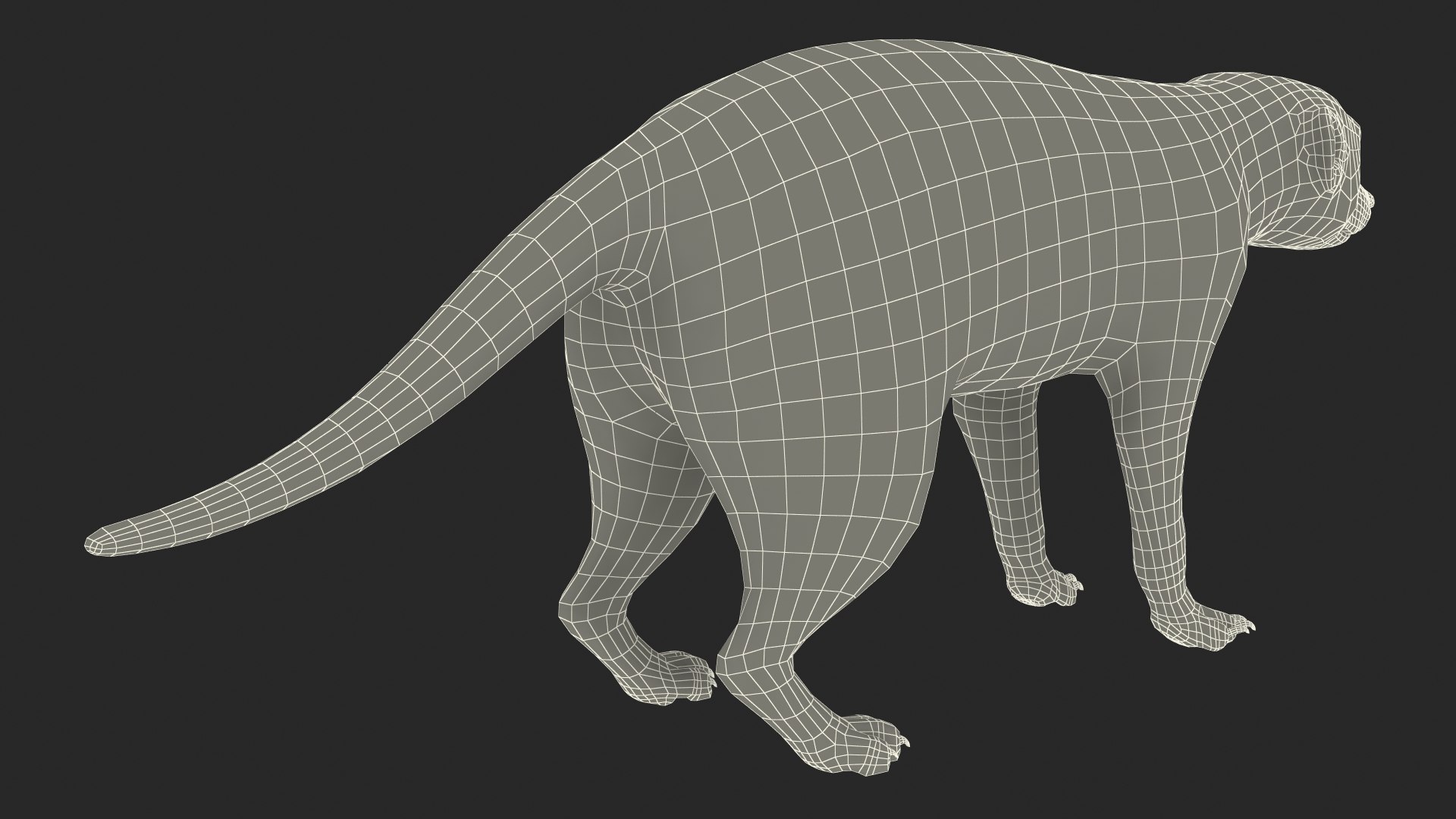Meerkat Neutral Pose model https://p.turbosquid.com/ts-thumb/nL/QAlS0J/ee/meerkatneutralpose3dsmodel024/jpg/1656073768/1920x1080/fit_q87/0e86d11ea7b94842794ca6e8c31c8391c2ad8607/meerkatneutralpose3dsmodel024.jpg