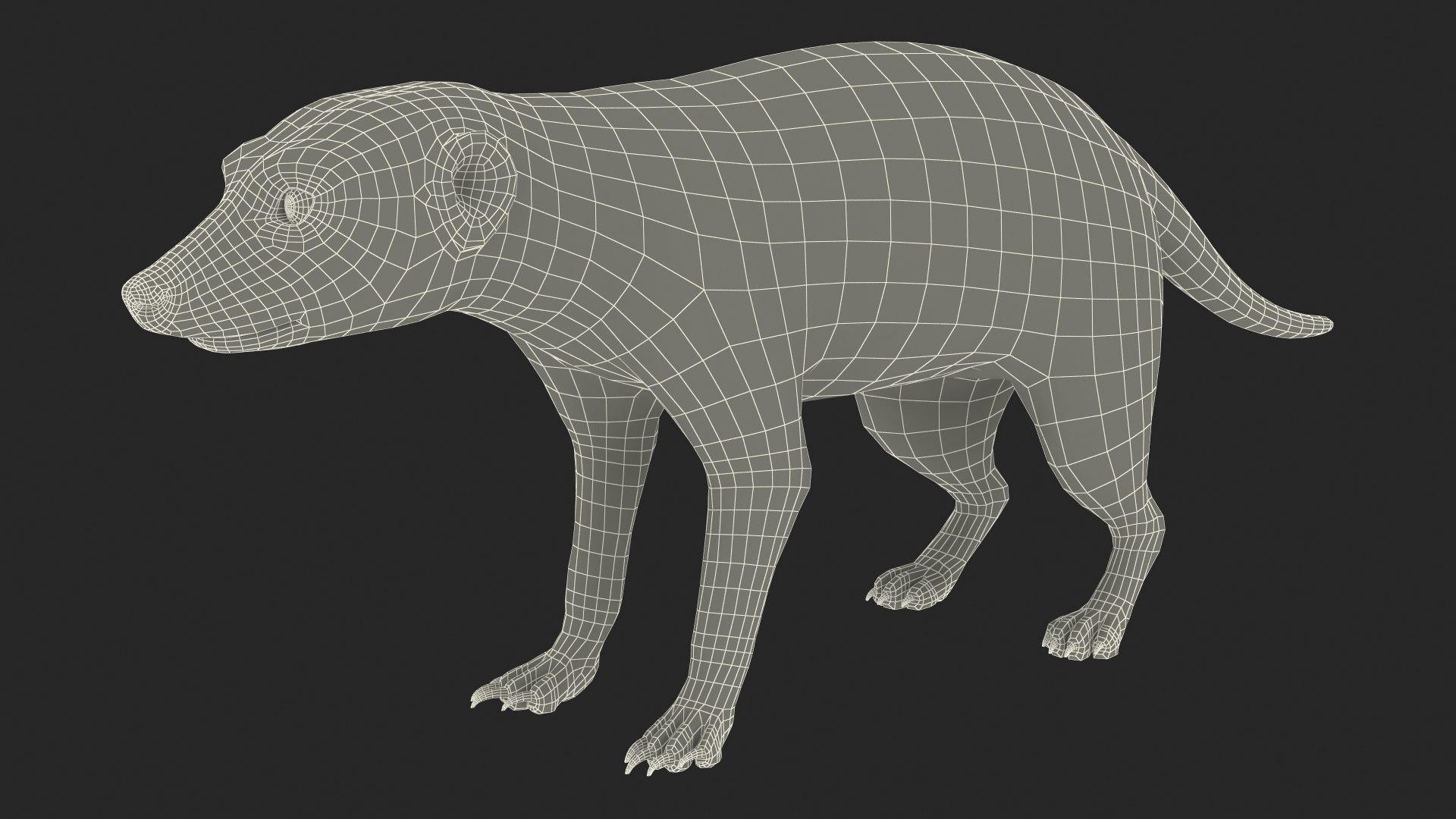 Meerkat Neutral Pose model https://p.turbosquid.com/ts-thumb/nL/QAlS0J/mQ/meerkatneutralpose3dsmodel023/jpg/1656073764/1920x1080/fit_q87/95d726caeeca24c269c5e1e0a7af73029b26e01e/meerkatneutralpose3dsmodel023.jpg