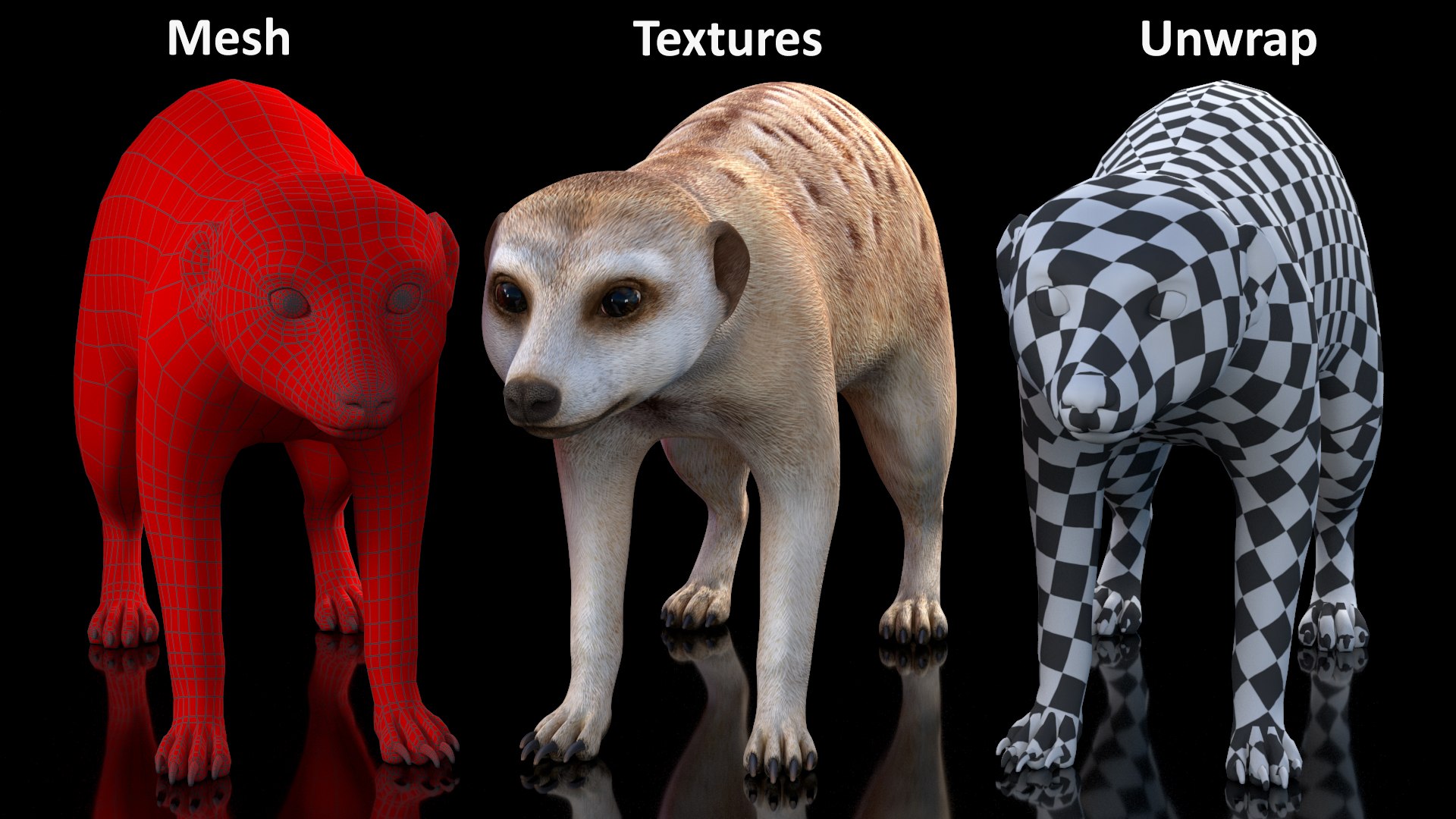 Meerkat Neutral Pose model https://p.turbosquid.com/ts-thumb/nL/QAlS0J/xj/meerkatneutralpose3dsmodel017/jpg/1656073740/1920x1080/fit_q87/f91c0dd6be0685371ade1c9439b29faf2deb1b3f/meerkatneutralpose3dsmodel017.jpg