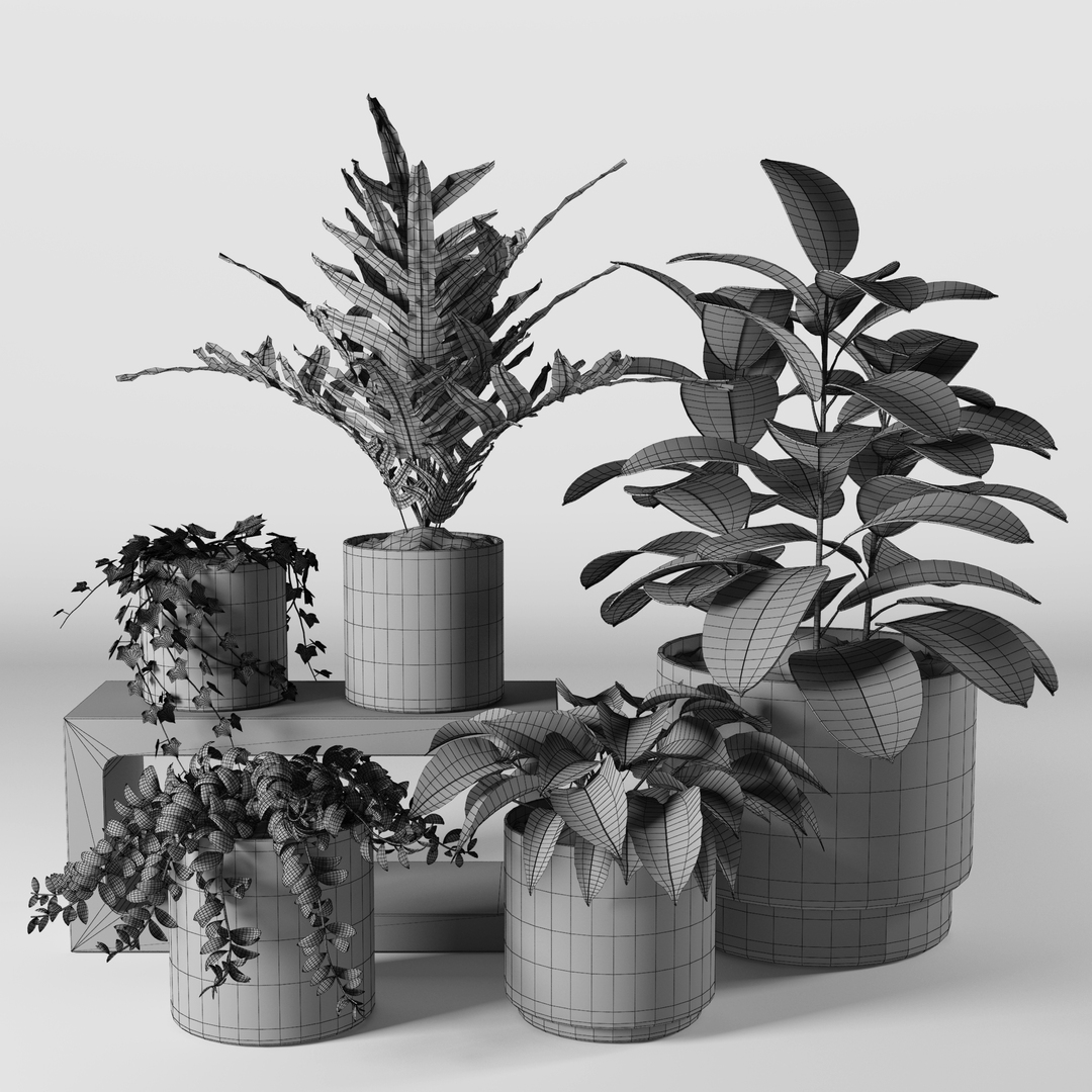 Plants set 06 3D - TurboSquid 1282468