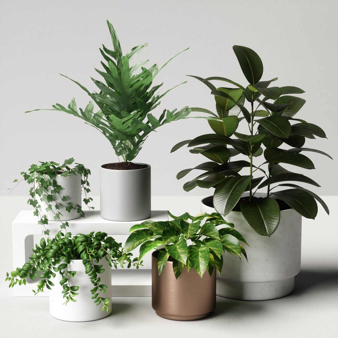 Plants Set 06 3D - TurboSquid 1282468