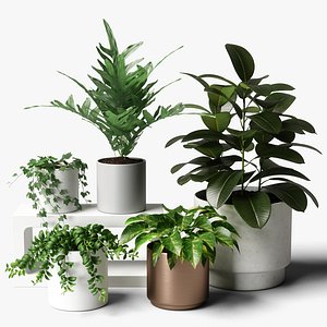 plants set 06