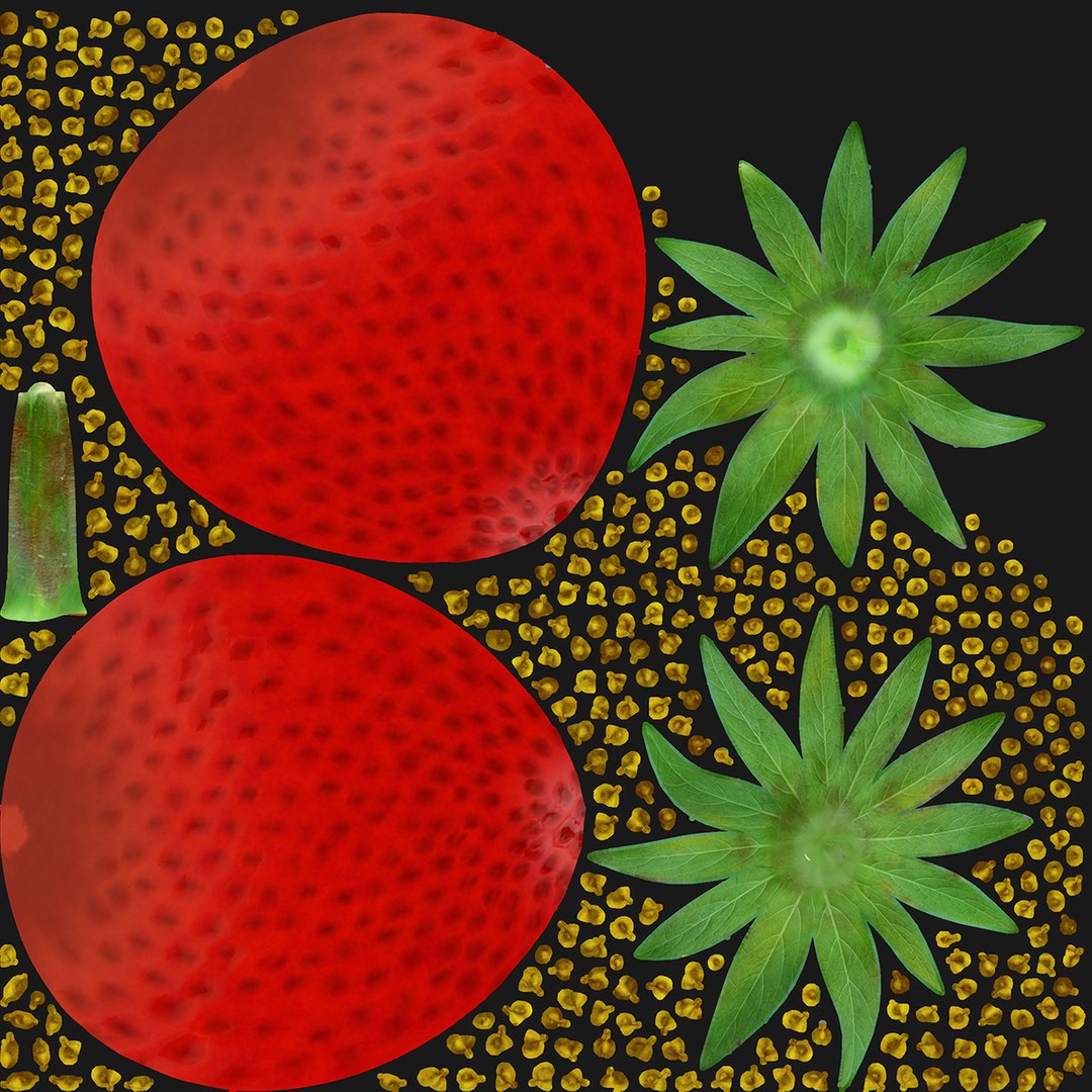 strawberries 3d max https://p.turbosquid.com/ts-thumb/nL/W2n1QK/5WWRmFWl/deffuse/jpg/1446220528/1920x1080/fit_q87/c6413a8e49f8b2016fbc802b15a94ee10ca950b8/deffuse.jpg