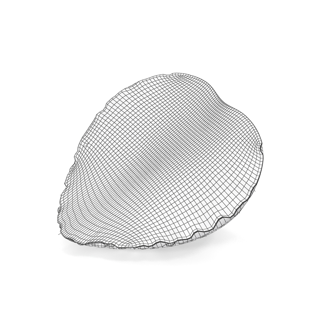 strawberries 3d max https://p.turbosquid.com/ts-thumb/nL/W2n1QK/GcB80xyF/st_4/jpg/1448605945/1920x1080/turn_fit_q99/4306142f97de0fb1a925d0389d1f22a15be1fe5a/st_4-1.jpg