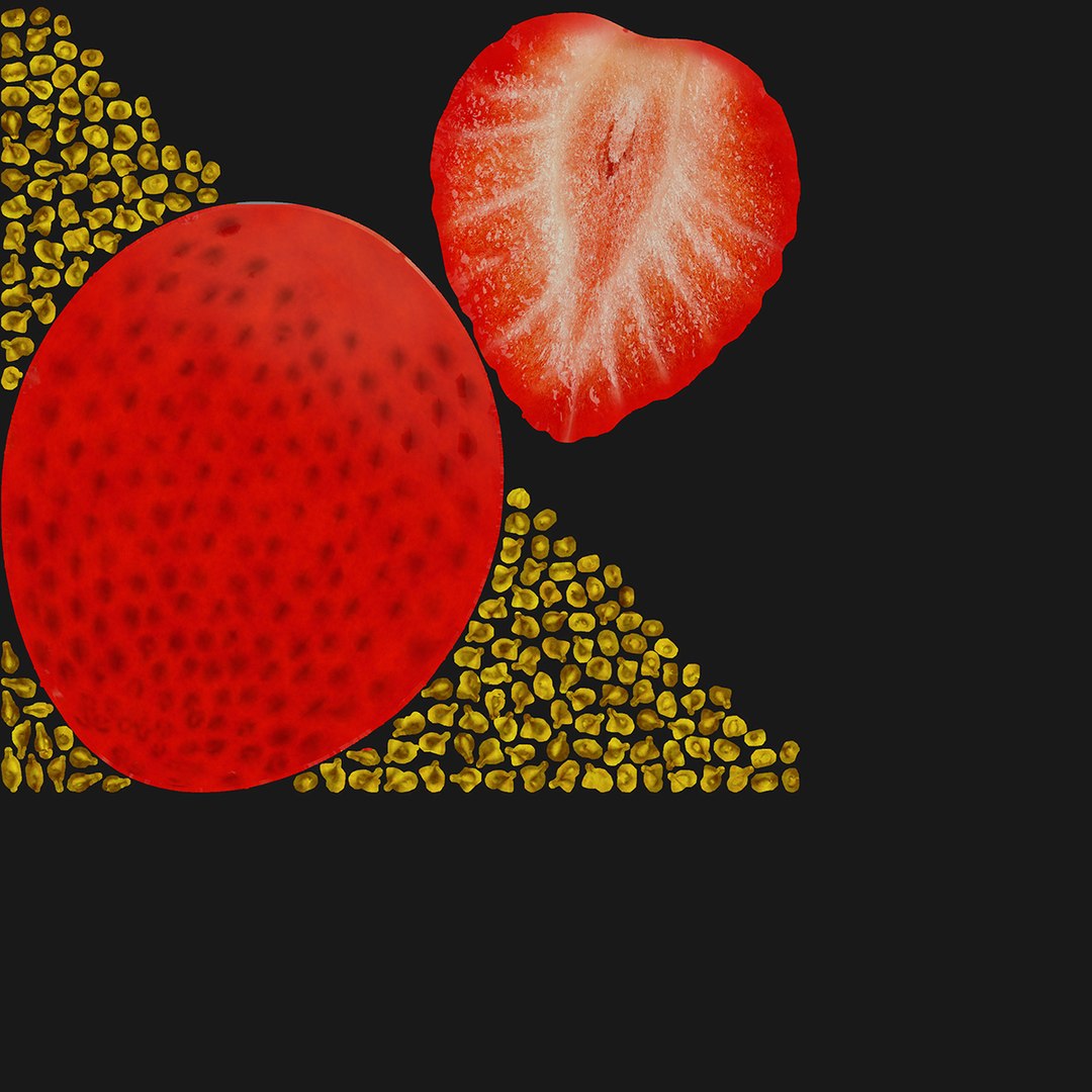 strawberries 3d max https://p.turbosquid.com/ts-thumb/nL/W2n1QK/Nr9pSb1G/deffuse_1/jpg/1446220528/1920x1080/fit_q87/dcdf060663553cda0bc2612f733718af3883104a/deffuse_1.jpg