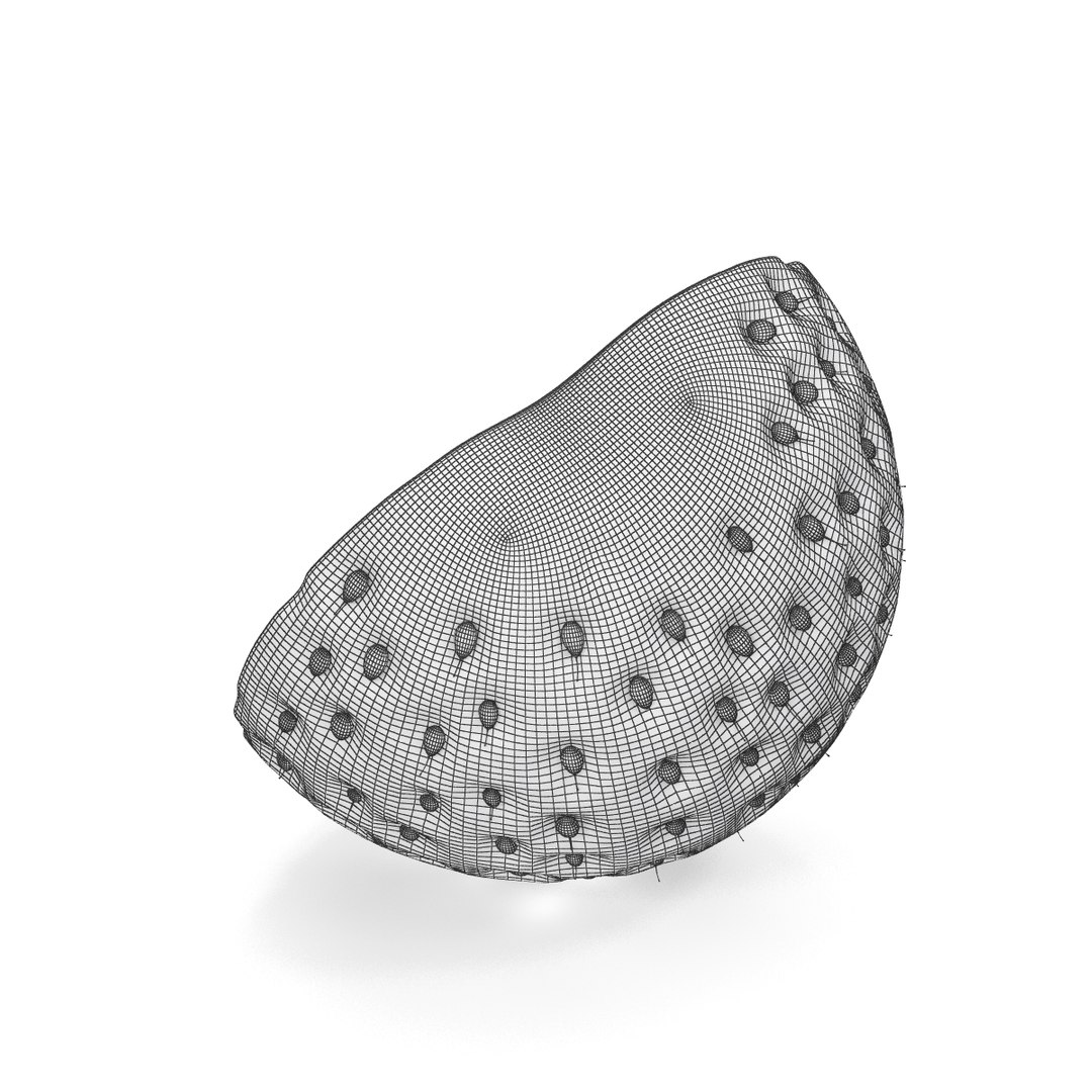 strawberries 3d max https://p.turbosquid.com/ts-thumb/nL/W2n1QK/wWsyHxwi/st_4/jpg/1446211332/1920x1080/fit_q87/984431ddde44c9c5ebee345cafdf3006782efcd1/st_4.jpg