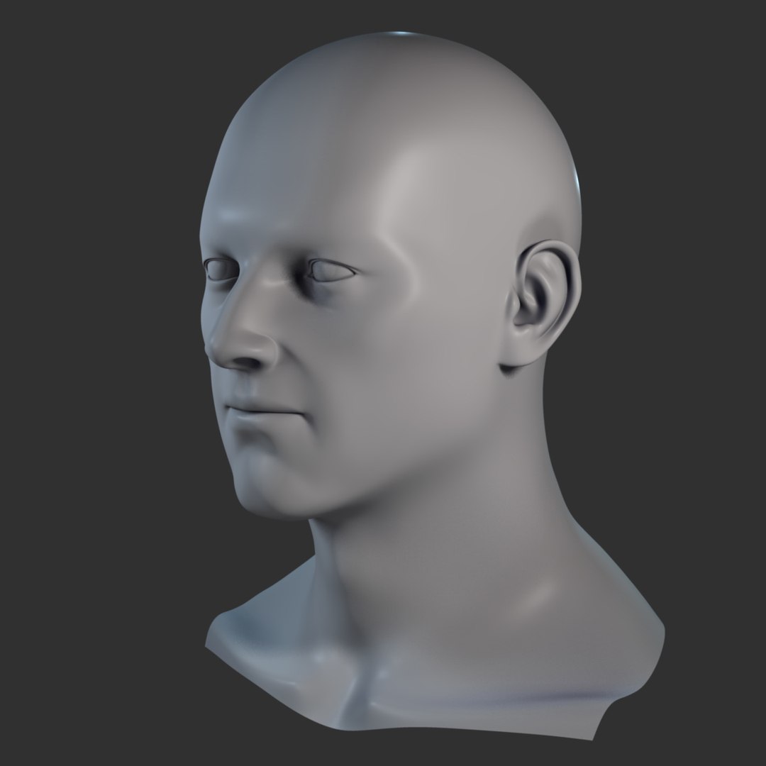 Realistic Male Head 3d Model